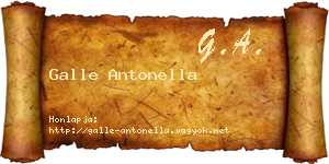 Galle Antonella névjegykártya
